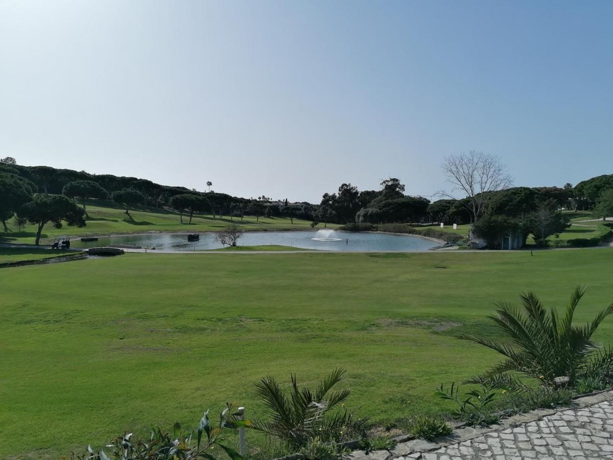 Villa 88 阿尔曼萨 外观 照片